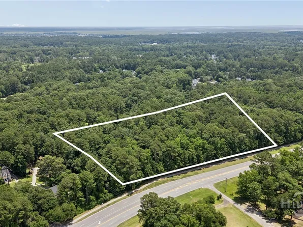 0 Harris Trail Road, Richmond Hill, GA 31324