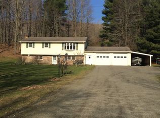 797 Johnson Hollow Rd, Beaver Dams, NY 14812