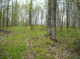 On Bear Lake Rd, Butternut, WI 54514