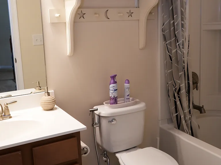 End of Hallway bathroom