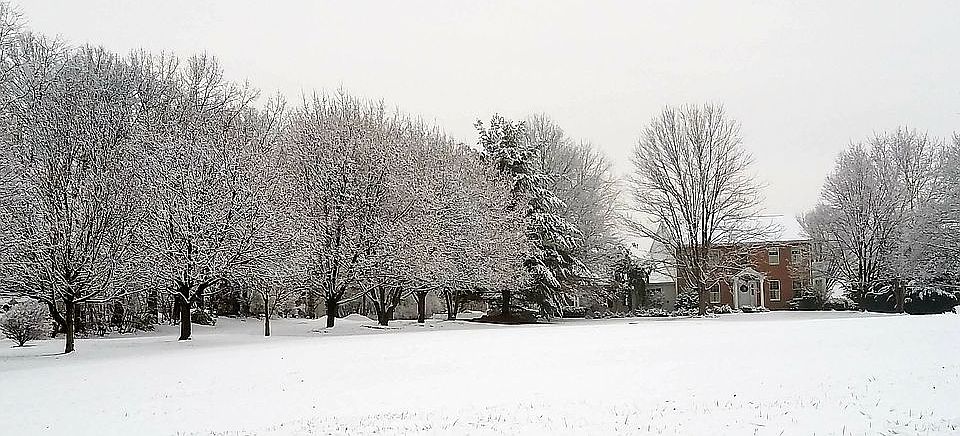 Winter on Wildflower lane