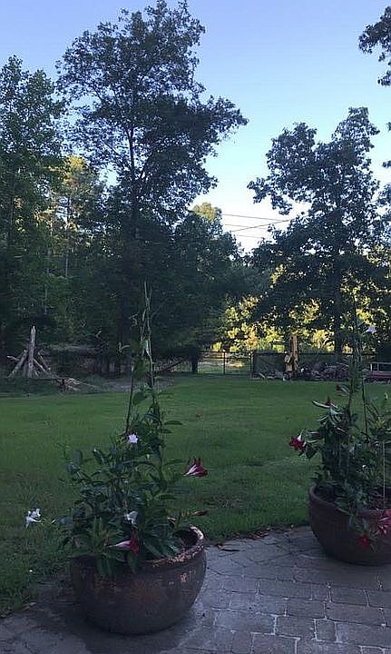 Patio view