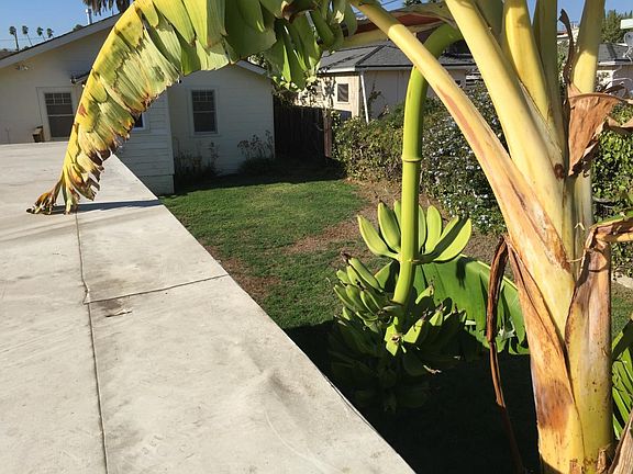 Another view of backyard area