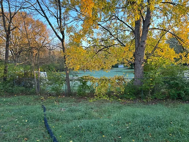 3 bed, 960 sqft, $1,600 — Photo 4