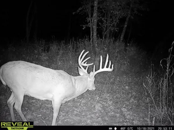 115.5 Ac Highway 23, Princeton, WI 54968