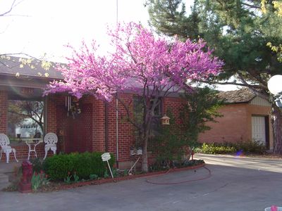 2033 S Travis St, Amarillo, TX, 79109