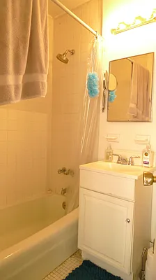 Rented by Metro Realty NY Inc | media 9