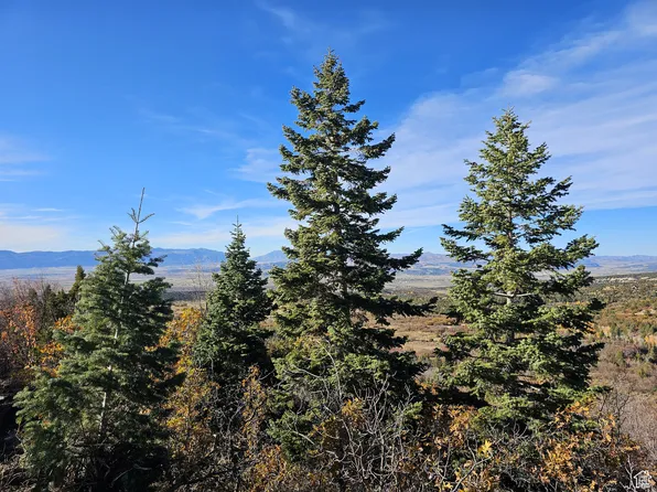 17 Pine Crest Dr, Fairview, UT 84629