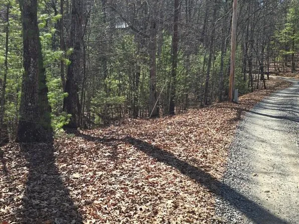 12 Oak Loop, Mineral Bluff, GA 30559