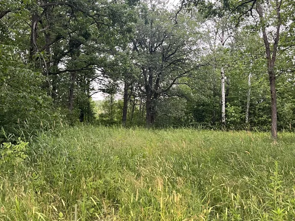 McNally Rd, Willow River, MN 55795