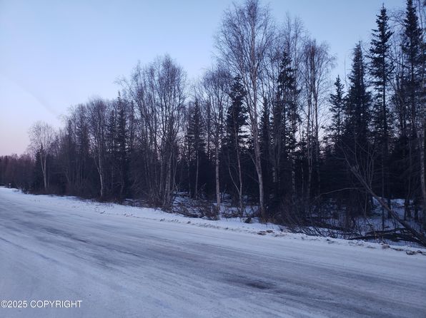 B021 W Willow Fishhook Rd, Willow, AK 99688
