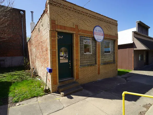 103 W Williams St, Wyoming, IL 61491