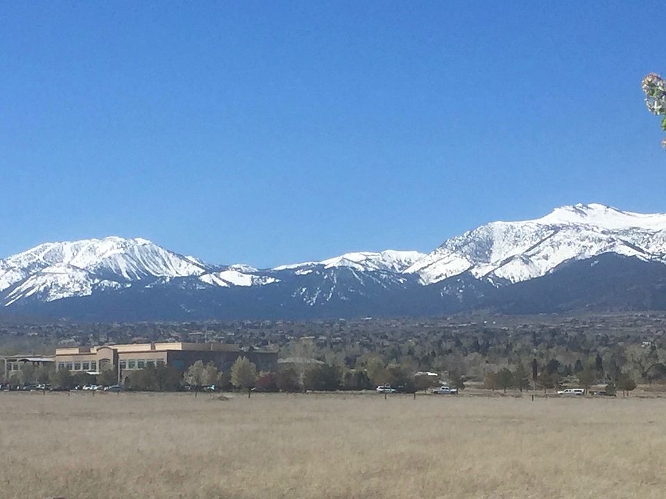 view from patio and bedrooms