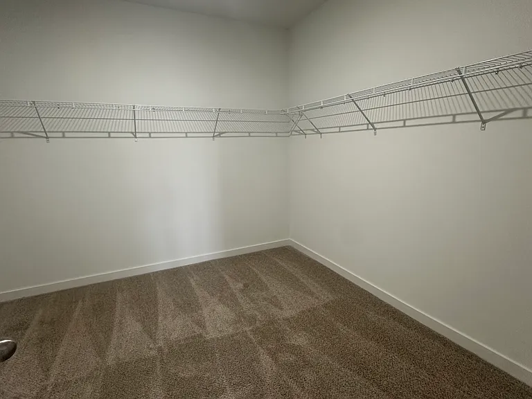 Owner's suite closet