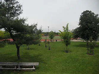 Rented by Willie Kathryn Suggs, LREB