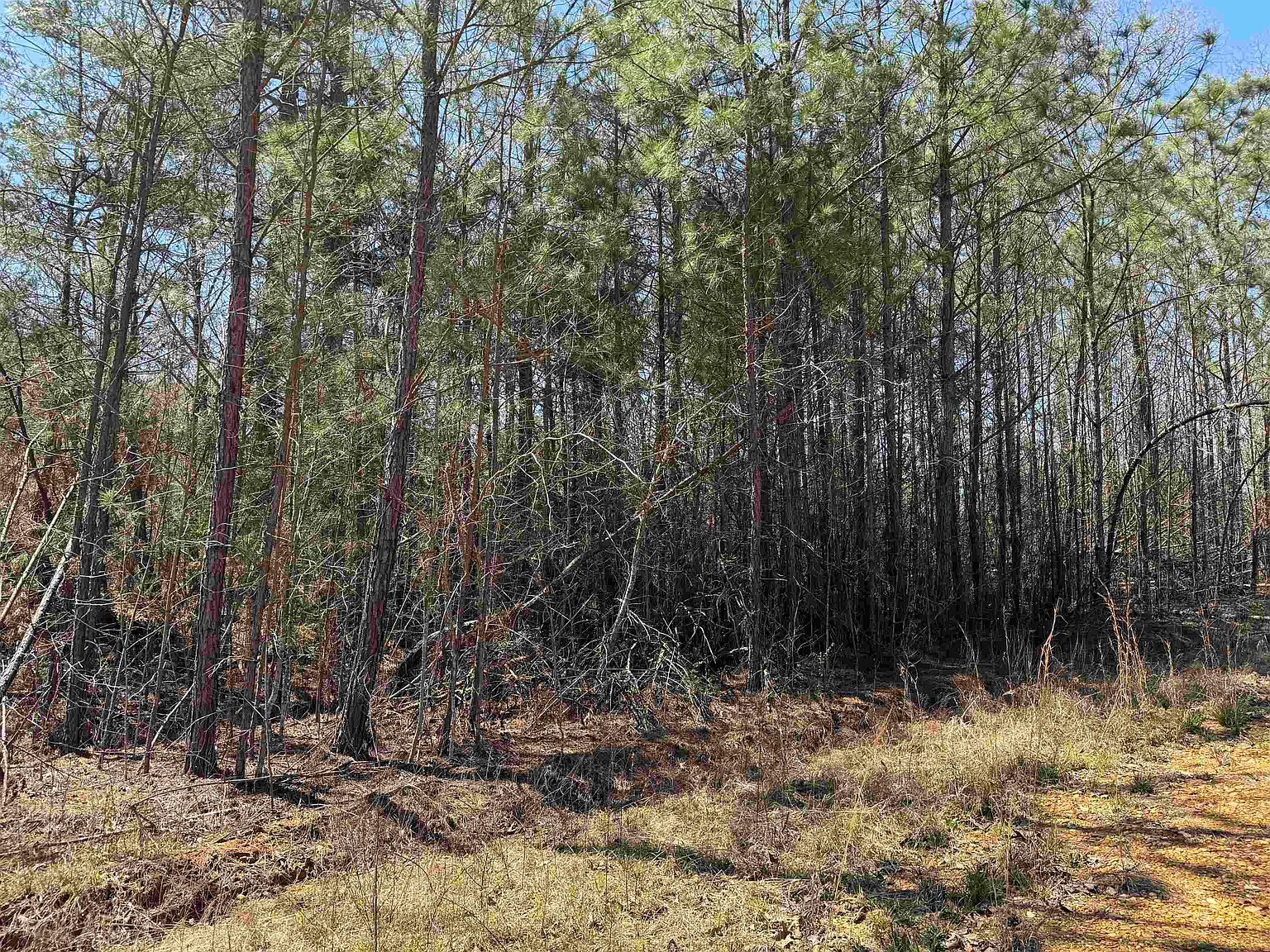 3 Kason Dr TRACT 3, Stantonville, TN 38379 MLS 10168722 Zillow