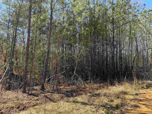 3 Kason Dr, Stantonville, TN 38379