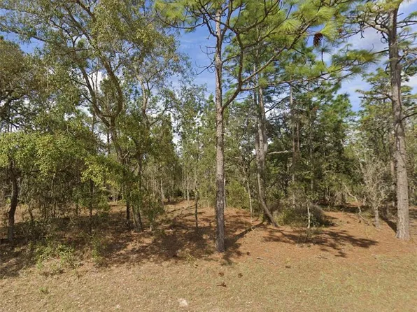 0 SW 85th Pl #2, Dunnellon, FL 34432