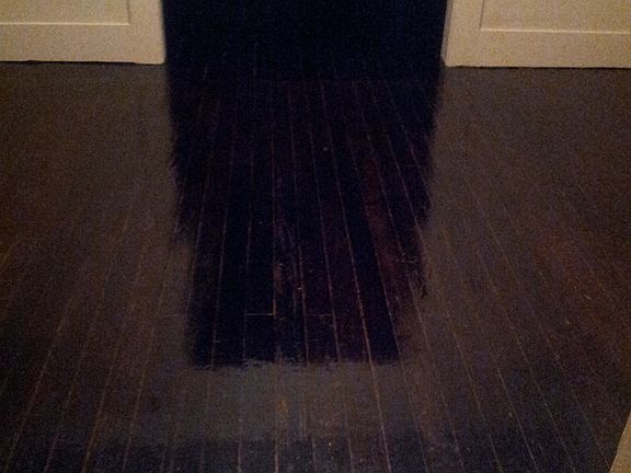 Stain through out the house