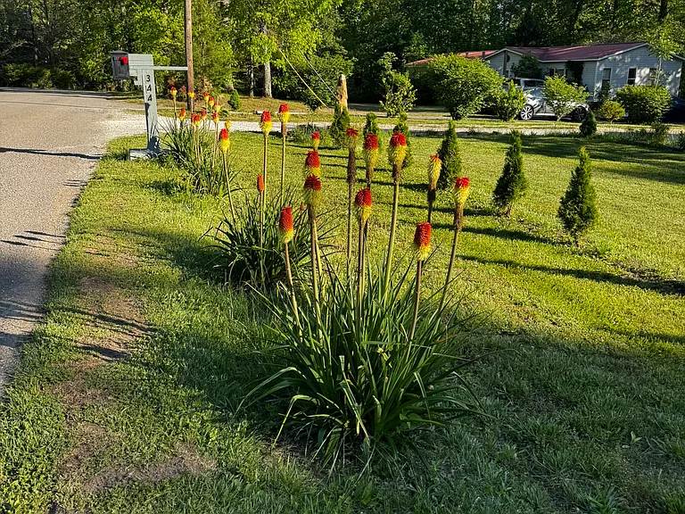 Plain View Lake Dr — Photo 16