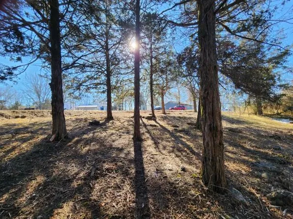 229 Redbud Street, Hollister, MO 65672