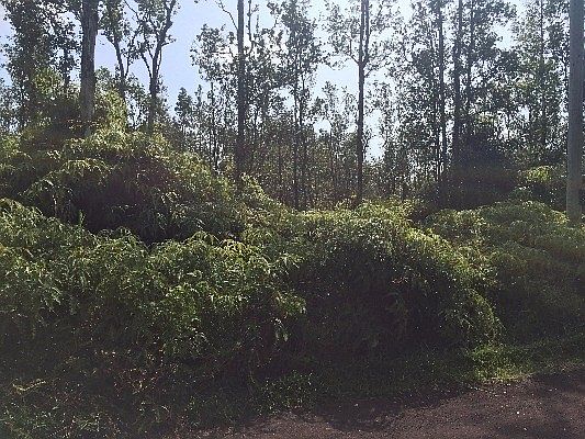 1st image of Kapiolani St Lot 391