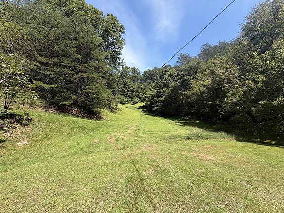 3rd image of 3704 Trace Fork Rd