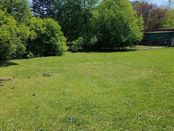 Back Yard - From Deck