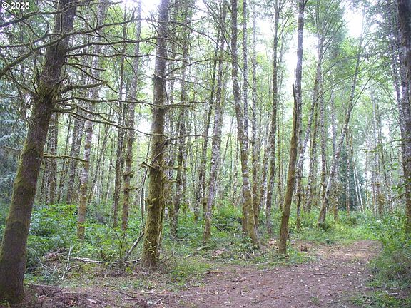 5th image of 0 Old Rainier Rd