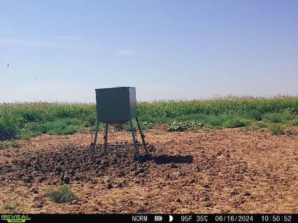 County Road 111, McAdoo, TX 79243