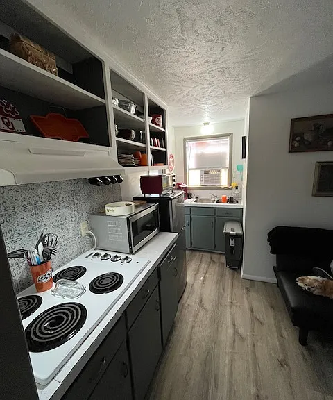 717 E 92nd St #1 — Photo 9