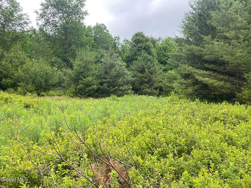 4th image of L20.130 Mcmurtry Road