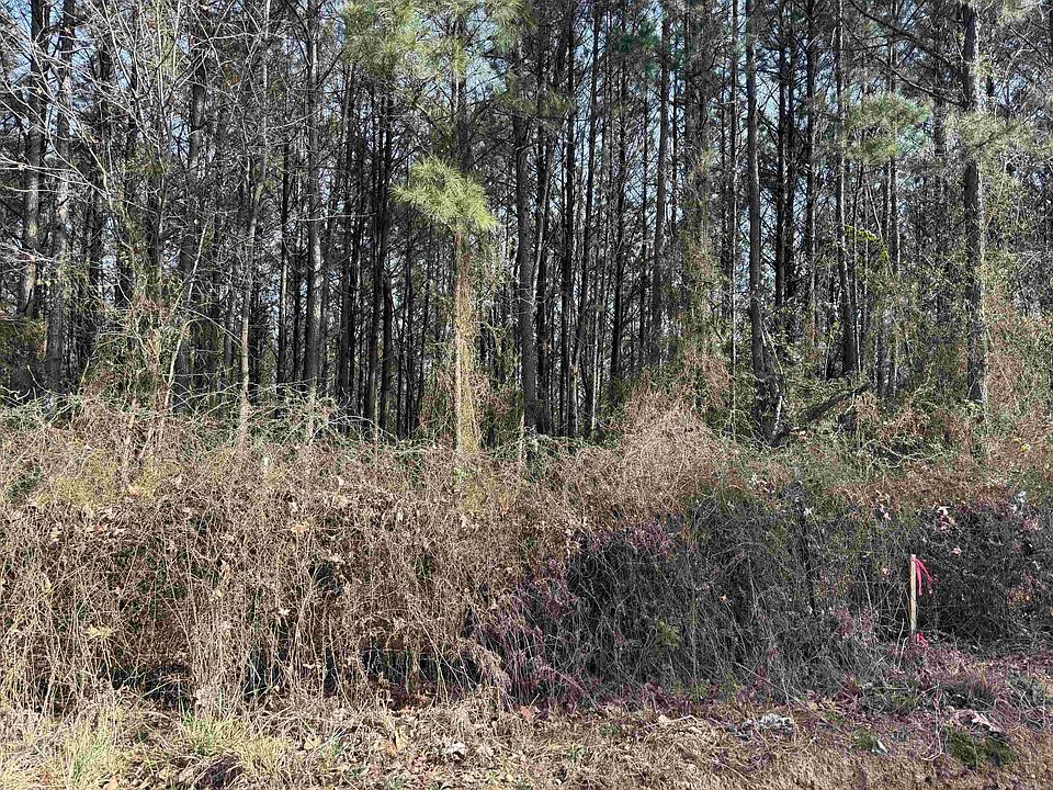 1st image of Polk Road 3 Lot 13
