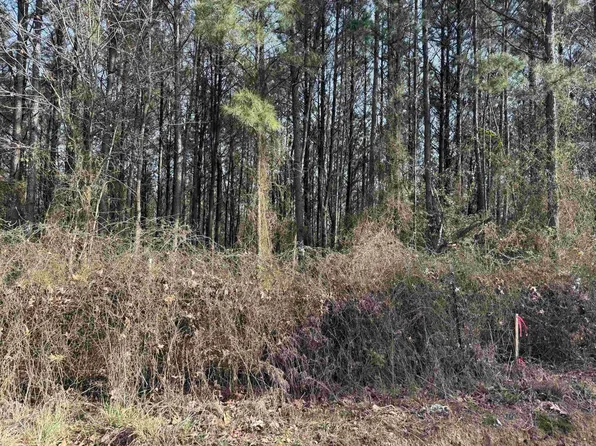 Polk Road 3 Lot 13, Wickes, AR 71973