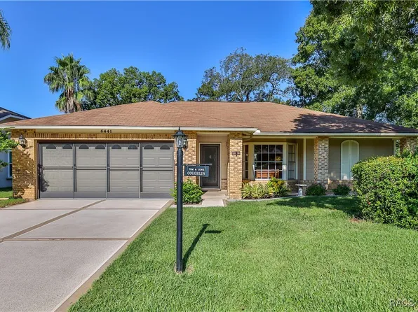 6441 Pine Meadows Dr, Spring Hill, FL 34606