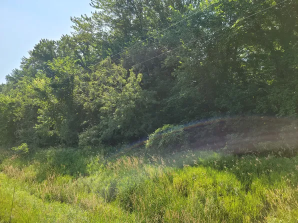 1 Dixon Rd, Caro, MI 48723