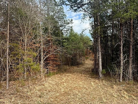 4th image of Lots 8 & 9 Curtis Rd