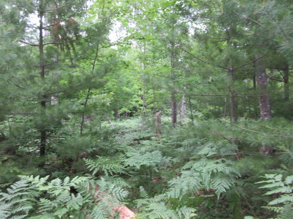 2nd image of Black Lake Rd