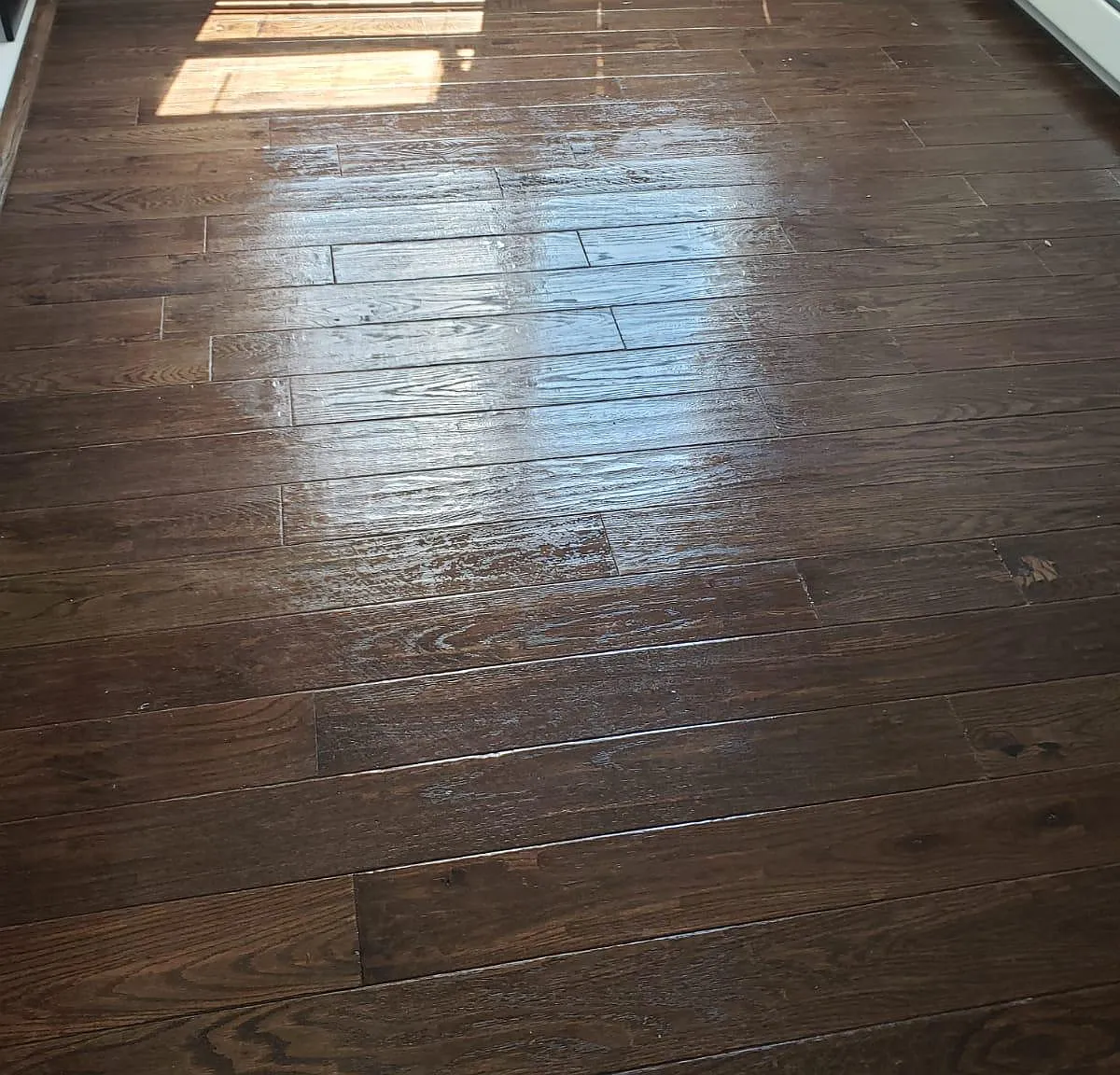 1 bed, $1,799 — Photo 3