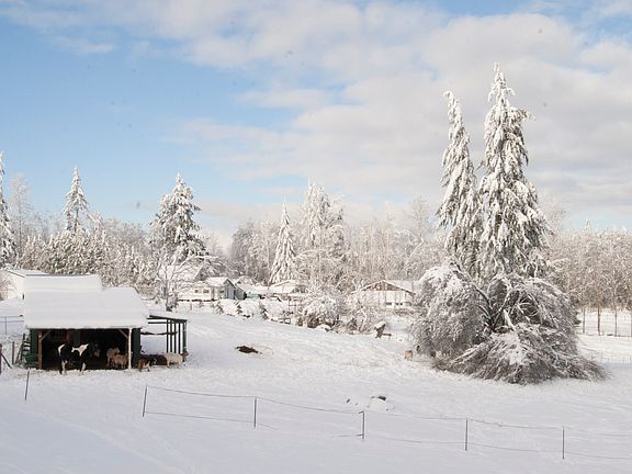 main pasture, facing N