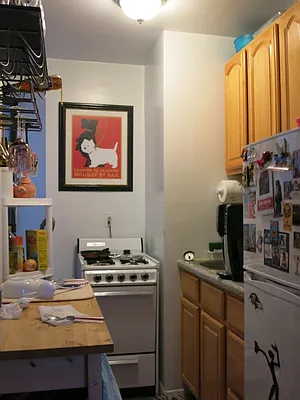 Rented by Citi Habitats | media 16