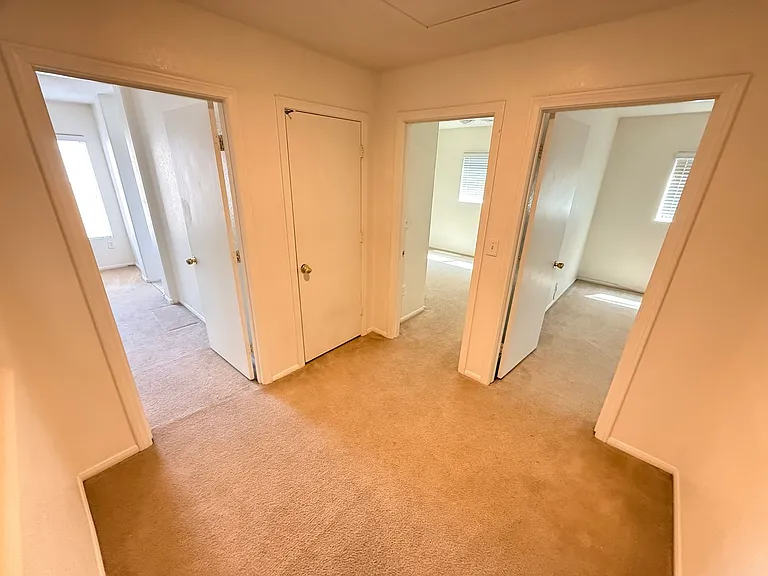 2416 Cockatoo Dr — Photo 12