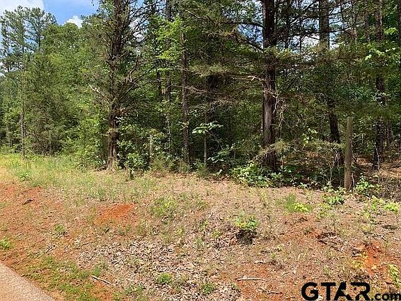 5th image of 179 County Road 2693