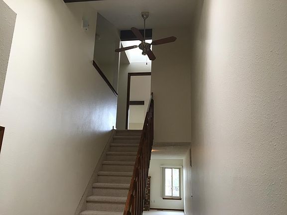3rd image of 803 Gabriel Ct