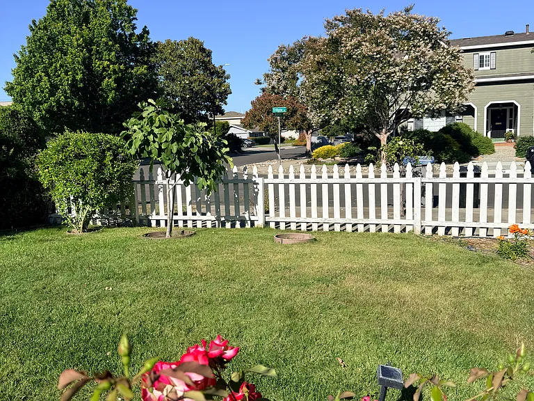 937 Trifone Dr — Photo 48