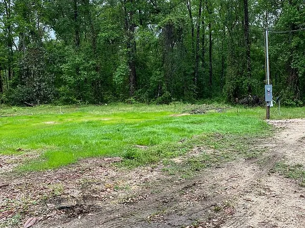 166 River Rd, Lamont, FL 32336