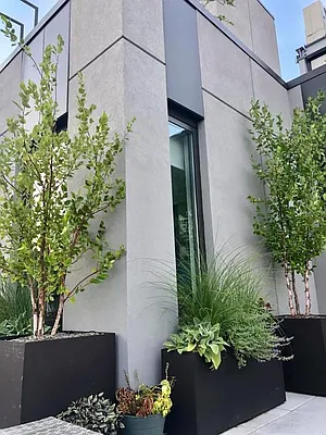 Rented by Douglas Elliman | media 7