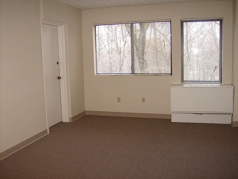 Living Room Photo With Big Windows And Carpeting