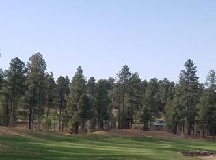 1210 W Rock Rose Ln, Show Low, AZ 85901