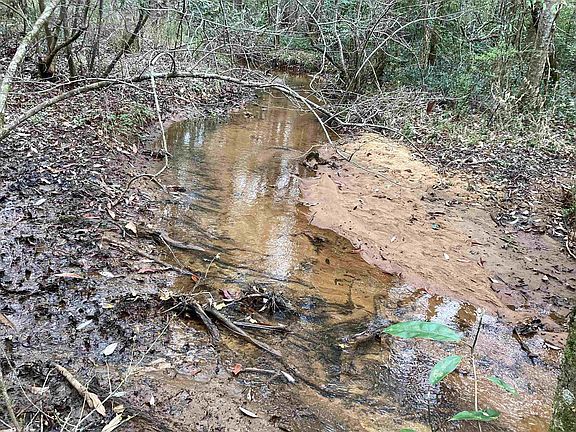 2nd image of 86 Carlisle Rd